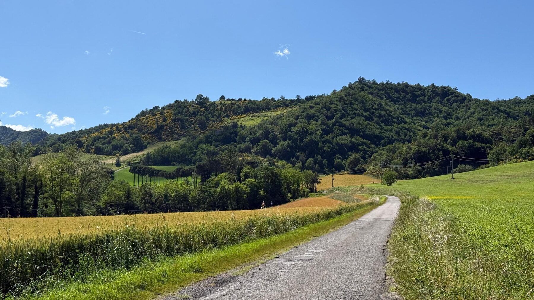 Strada di campagna tra i campi